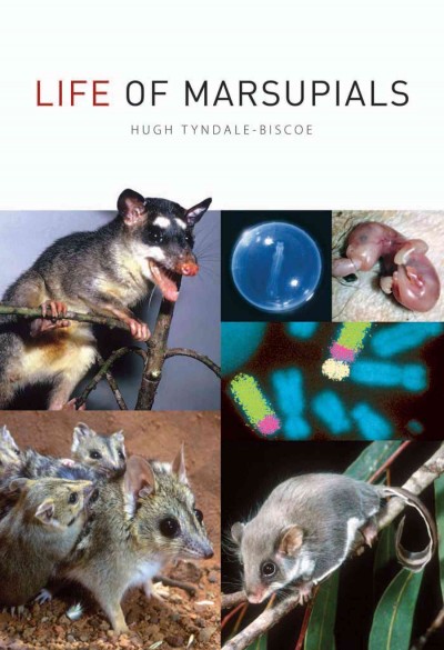 Life of marsupials [electronic resource] / Hugh Tyndale-Biscoe.