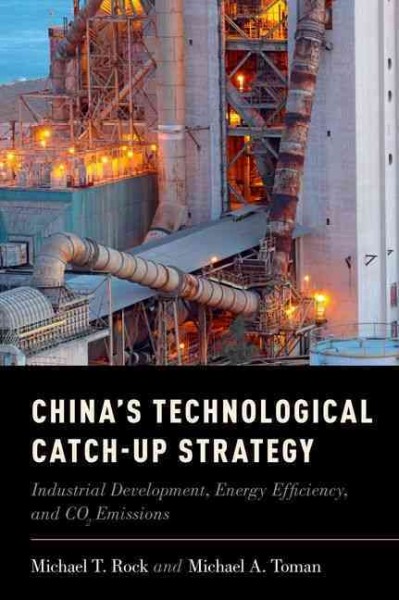 China's Technological Catch-Up Strategy: Industrial Development, Energy Efficiency, and CO2 Emissions.